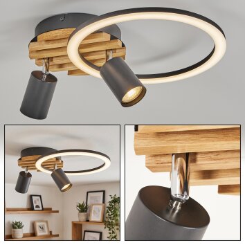 Velani LED taklampa med roterbara ljuselement, 2 ljuskällor, modern