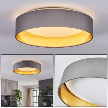 Kavon LED takplafond rund ø 32 cm med indirekt takljus, modern design
