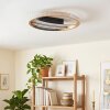 Calista LED taklampa, rund plafond ø 29,5 cm med valbar ljusfärg