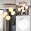 Chehalis taklampa med globskärmar, rund plafond Ø 43 cm, 5 ljuspunkter