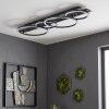 Kordex LED taklampa med ringdesign, modern taklampa för vardagsrum och hall