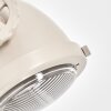 Riktbar vägglampa Herford i 2-pack med sandfärgat spotlightlamphuvud för läshörnan