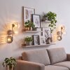 Modern vägglampa Koyoto i 2-pack med tre glasskärmar i klart, amber och rökfärg