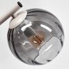 Modern kulformad vägglampa Koyoto i 2-pack med tre rökfärgade glasskärmar, E14