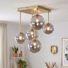 Modern taklampa Chehalis med fem rökfärgade runda glasskärmar, ø 12/15 cm