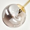 Modern taklampa Chehalis med fem rökfärgade runda glasskärmar, ø 12/15 cm