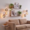 Modern vägglampa Gastor i 2-pack med runda glasskärmar i rökfärg, amber och klarglas
