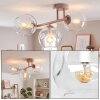 Modern plafondlampa Ripoll med tre klara sfäriska glasskärmar i sandfärgad metall