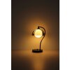 NOWA Eva böjd bordslampa i modern stil med G9-sockel och kabelbrytare hemma