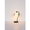 NOWA Eva böjd bordslampa i modern stil med G9-sockel och kabelbrytare hemma