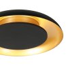 Steinhauer modern LED ringformad taklampa Golden Veil, dimbar med 2700 Kelvin varmvit
