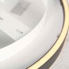 Steinhauer Ringlux LED plafond taklampa, rund Ø 30 cm, modern med 2 ljuspunkter