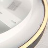 Steinhauer Ringlux LED modern ringformad taklampa för vardagsrum 2700 K 3600 lm 30 W