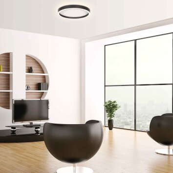 Steinhauer Ringlux LED modern ringformad taklampa för vardagsrum 2700 K 3600 lm 30 W