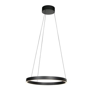 Steinhauer Mykty LED justerbar ringpendellampa med 2 ljuspunkter 2700 K 7800 lm 30 W