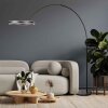 Steinhauer Ringlux LED båglampa, golvlampa med båge, 2 ljuspunkter, modern