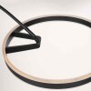Steinhauer Ringlux LED båglampa, golvlampa med båge, 2 ljuspunkter, modern