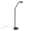 Steinhauer Ringlux LED modern golvlampa med justerbar läsarm 2700 K 1000 lm 5 W