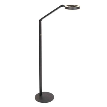Steinhauer Ringlux LED modern golvlampa med justerbar läsarm 2700 K 1000 lm 5 W