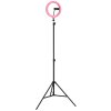 Globo Delgado LED-ringlampa med stativ och mobilhållare för smink och vlogg