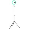 Globo Delgado LED-ringlampa med stativ och mobilhållare för smink och vlogg