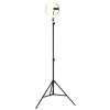 Globo Delgado LED-ringlampa med stativ och mobilhållare för smink och vlogg