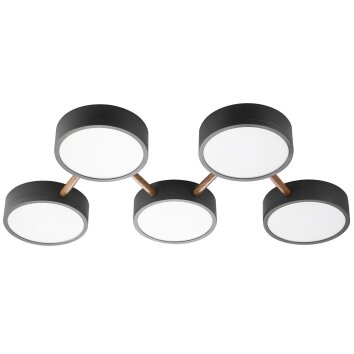 NOWA Diego modern LED rund takplafond med 5 ljuskällor, 3000K, 3400 lm, 5 Watt