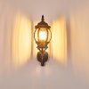 Lentua vägglampa utomhus, Vägglampa Brunt, guld, 1-ljuskällor