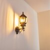 Lentua vägglampa utomhus, Vägglampa Brunt, guld, 1-ljuskällor