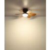 Globo Delores LED takfläkt med belysning och fjärrkontroll, modern design för vardagsrum