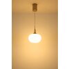 Globo Lui LED rund pendellampa, hänglampa för matbord och kök, modern design