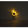 Globo ILIOS solros solcellslykta med trädgårdspinne för utomhusbruk längs gångväg LED