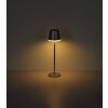 Globo VANNIESO LED-solcellslampa som bordslampa för utomhusbruk med strömbrytare