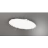Trio Leuchten platt oval LED-taklampa i titan, 5000 lumen och 6500 Kelvin, dagsljusvit