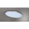 Trio Leuchten platt oval LED-taklampa i titan, 5000 lumen och 6500 Kelvin, dagsljusvit