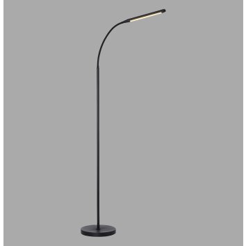 Paul Neuhaus LED-golvlampa ELLY, böjd arm, justerbar ljusfärg 2700-5000 Kelvin