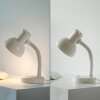 Paul Neuhaus vit bordslampa FLEXI, böjlig hals, ställbart huvud, 2700-5000 Kelvin