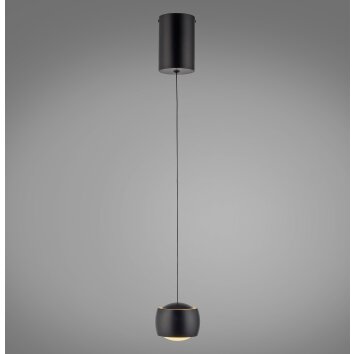 Leuchten Direkt Pendellampa LED BALLINI, höjdjusterbar, 3000 Kelvin varmvitt, längd 10 cm