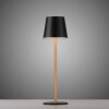 Leuchten Direkt LED-bordslampa EURIA med konformad skärm, 3000 Kelvin varmvit