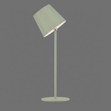 Leuchten Direkt grön LED-bordslampa BOTERIA med vinklingsbar skärm, 3000 Kelvin varmvit