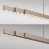 Paul Neuhaus LED-pendellampa ADRIANA, champagne, minne, justerbar ljusfärg 2700-5000 Kelvin