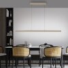 Paul Neuhaus LED-pendellampa ADRIANA, champagne, minne, justerbar ljusfärg 2700-5000 Kelvin
