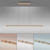 Paul Neuhaus LED-pendellampa ADRIANA, champagne, minne, justerbar ljusfärg 2700-5000 Kelvin