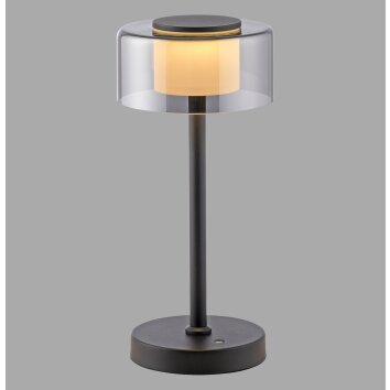 Paul Neuhaus LED-bordslampa RIKA med minnesfunktion, rökfärgad skärm, 3000 Kelvin varmvit