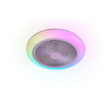 Reality LED-takfläkt Holmsund dimbar med fjärrkontroll, justerbar ljusfärg 3000-6500 Kelvin