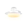 Reality LED-takfläkt Kiruna, glittrande, fjärrdimbar, justerbar ljusfärg 2700-6500 Kelvin
