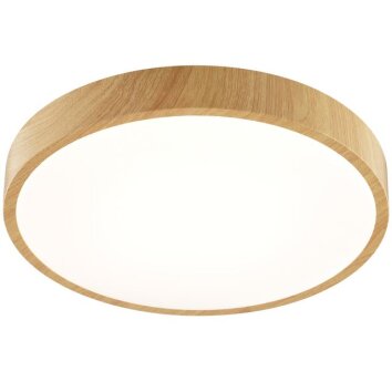 Brilliant modern plafondlampa LED Teranon, rund stomme i träton, 3000 Kelvin varmvit