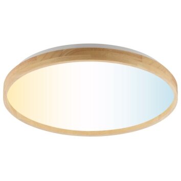 Brilliant rund LED-taklampa Alson, fjärrdimbar, justerbar ljusfärg 3000-6500 Kelvin