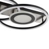 Brilliant Leuchten LED-taklampa Maureen, cirklar, minnesfunktion, 3000 Kelvin varmvit