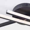 Brilliant Leuchten LED-taklampa Hinton med böjd slingform, svart skärm, 3000 Kelvin varmvit